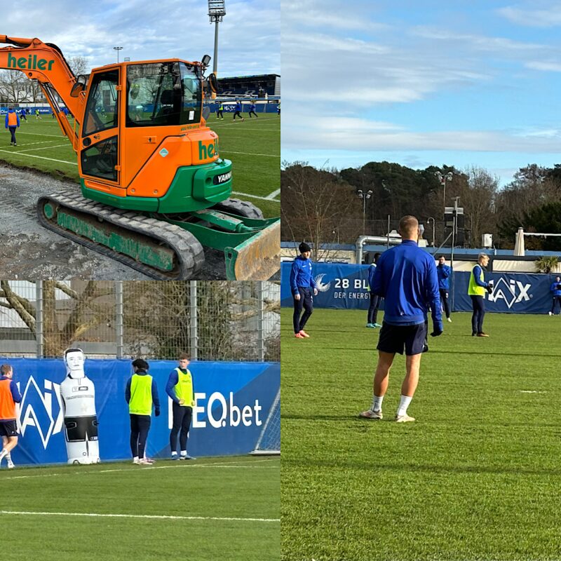 SV Darmstadt 98, Training, Fabian Holland