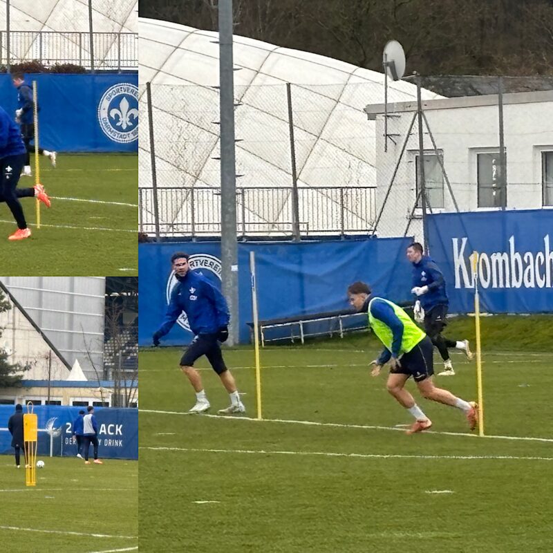 SV Darmstadt 98, Training